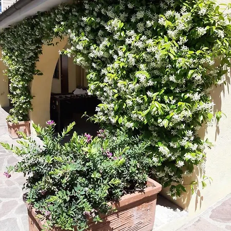 Orsini 4* Roma