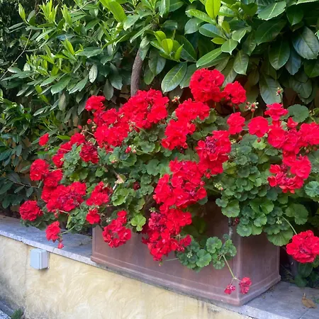 Orsini Bed & Breakfast Roma