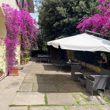 Orsini