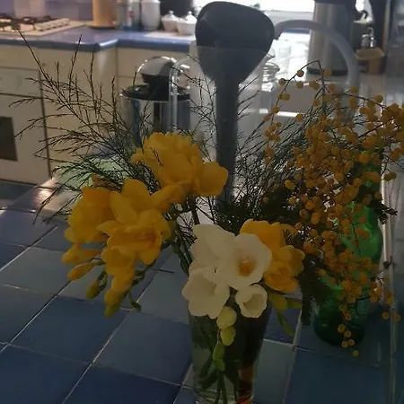 Panzió Orsini Róma