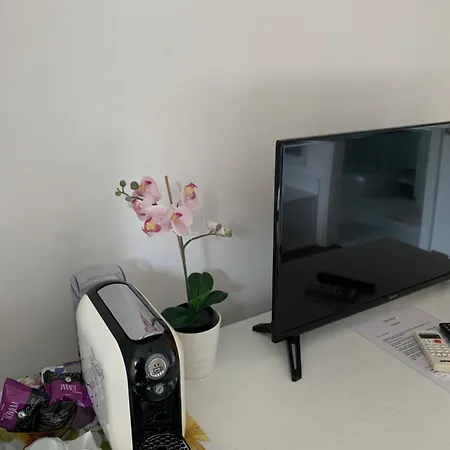 奥尔斯尼别墅 3* 罗马