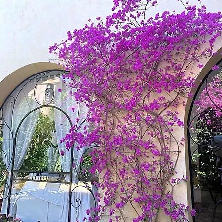 Bed & Breakfast Orsini 4*