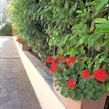 Panzió Orsini 4*