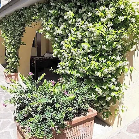 Bed & Breakfast Orsini 4*