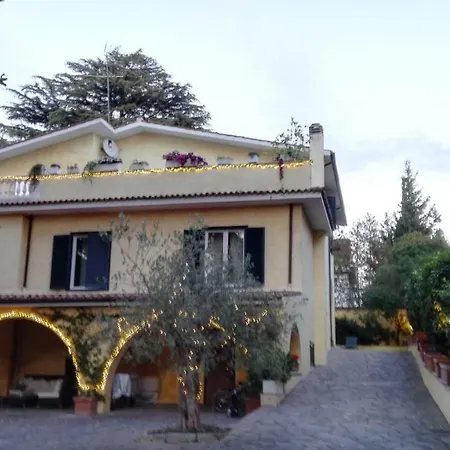 奥尔斯尼别墅 住宿加早餐酒店 罗马