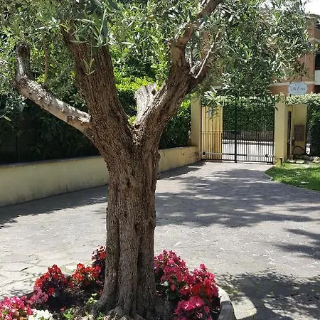 Orsini