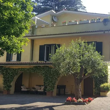 住宿加早餐酒店 奥尔斯尼别墅