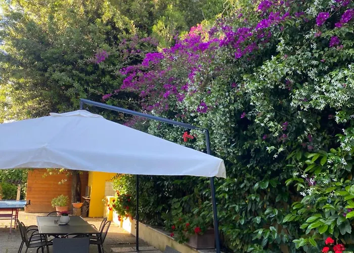 Bed & Breakfast Orsini Rome