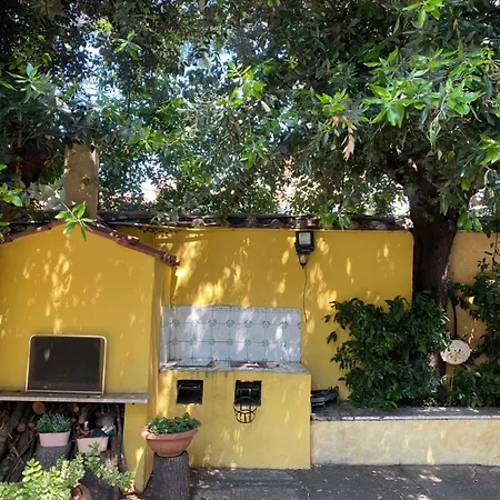 Orsini