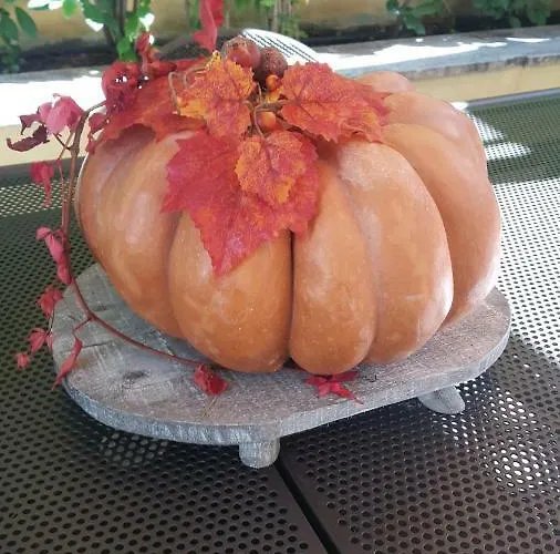 Orsini Couette-café